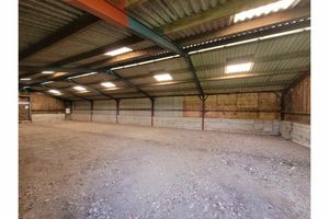 Photo 8- click for photo gallery